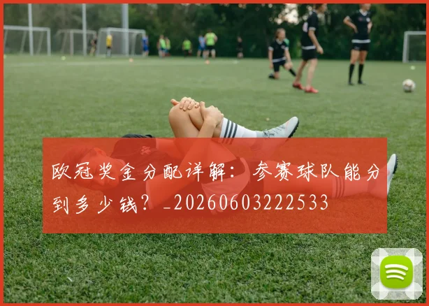 欧冠奖金分配详解:参赛球队能分到多少钱?_20260603222533